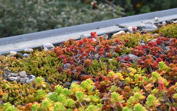 the cost of Grove green roof installation