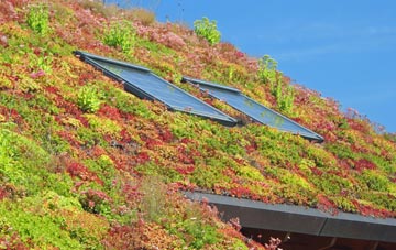 Grove living roof systems