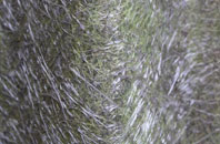 Grove fibreglass roof work